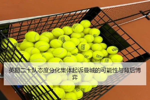 英超二十队态度分化集体起诉曼城的可能性与背后博弈（MILANESPORTS）