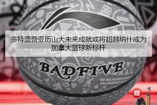 多特盛赞亚历山大未来成就或将超越纳什成为加拿大篮球新标杆（MILANESPORTS）